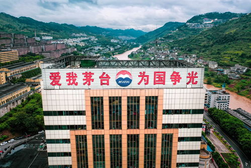 将进酒 领军者 丁雄军 渠道改革 产品体系完善 推动茅台持续高增长