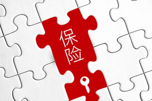 深圳建设集团退出平安财险 万京投资接盘