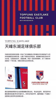 由天峰实业与东湖地产共同出资成立 目标三年内冲入职业序列联赛