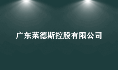 广东莱德斯控股
