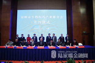 打造 中国健康之都 昆明市生物医药产业上海推介会举行