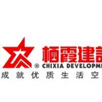栖霞建设:选举江劲松为董事长、总裁及