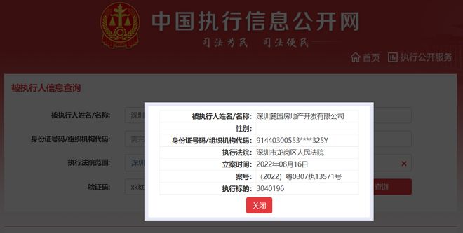 颐安集团旗下麓园地产成被执行人,执行标的304万元