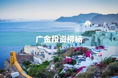 广金投资柳杨 投资兴办实业，赋能产业未来